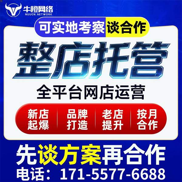 武汉电商代运营