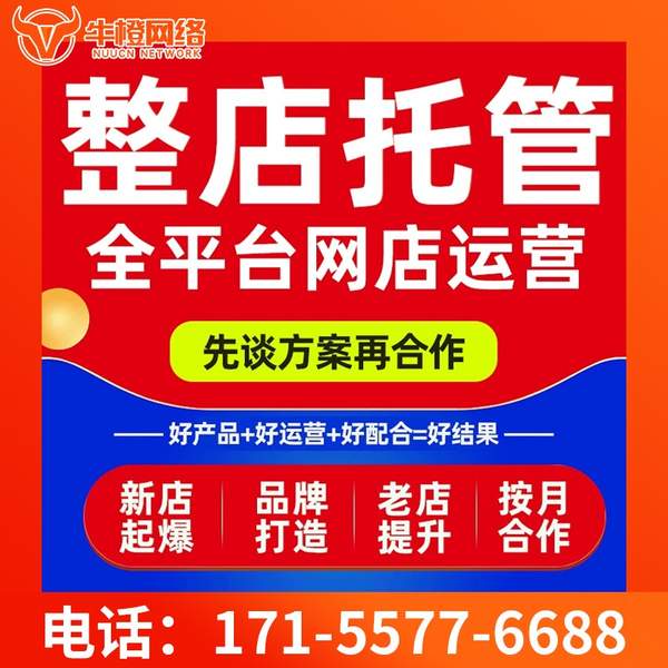 武汉电商代运营