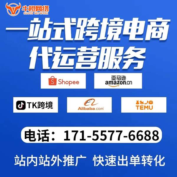 武汉电商代运营